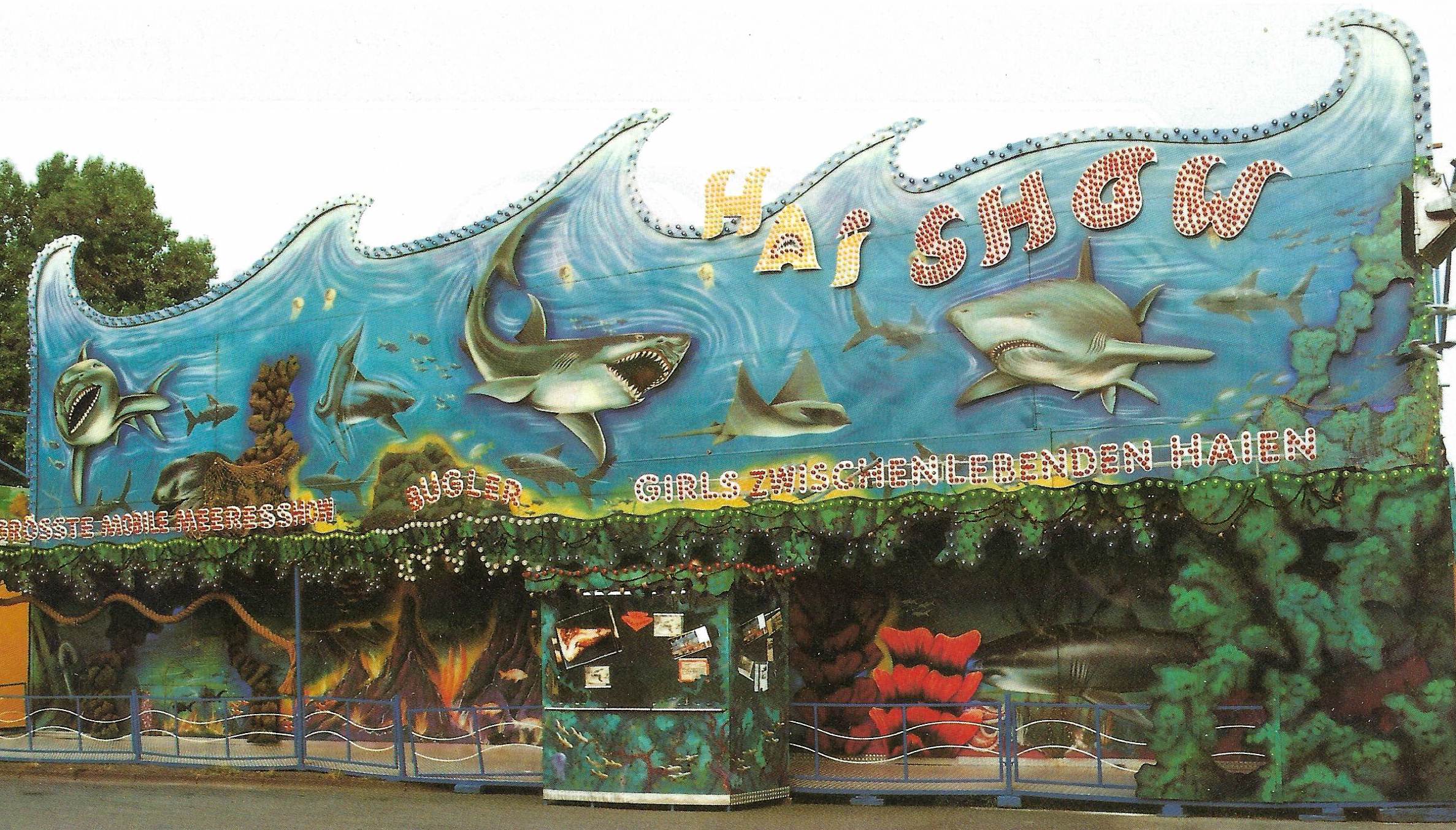 Hai-Show - Bügler
