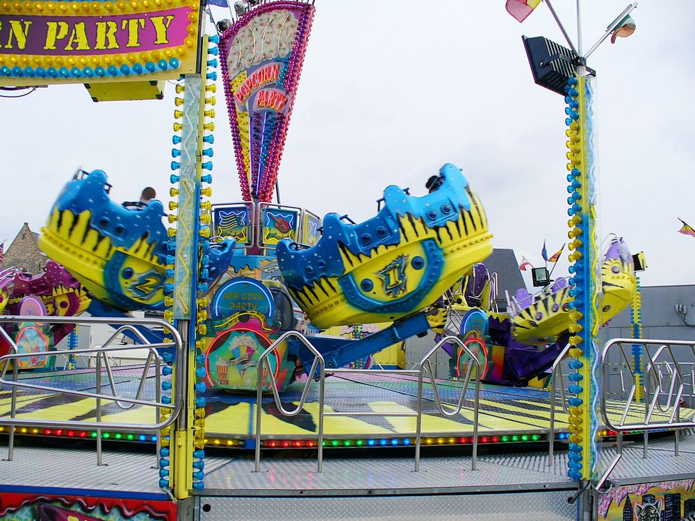 Palmenmarkt Geel 2008 (B)