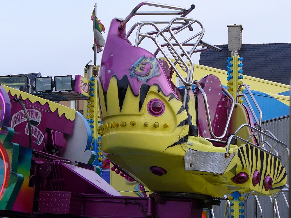 Palmenmarkt Geel 2008 (B)