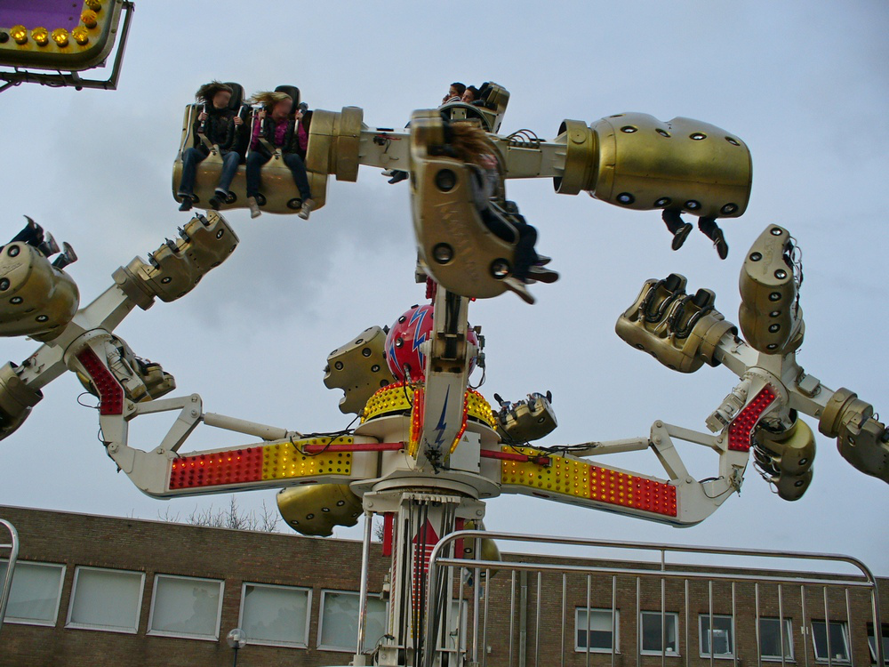 Palmenmarkt Geel 2008 (B)
