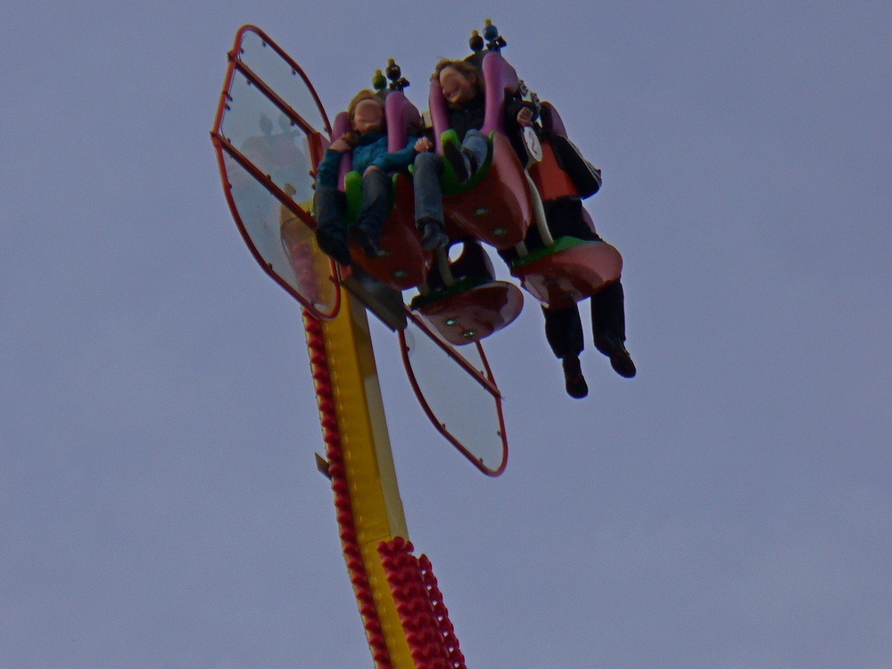 Palmenmarkt Geel 2008 (B)
