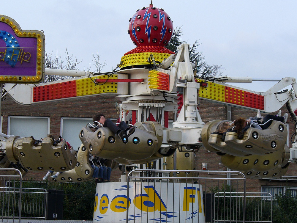 Palmenmarkt Geel 2008 (B)
