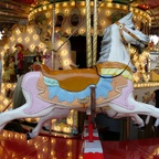 Palmenmarkt Geel 2008 (B)