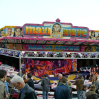 Palmenmarkt Geel 2008 (B)