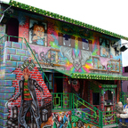 Palmenmarkt Geel 2008 (B)