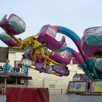 Palmenmarkt Geel 2008 (B)
