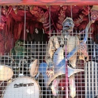 Shocker - Böttger