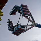 Palmenmarkt Geel 2008 (B)