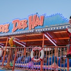 Kuddel der Hai - Heinen