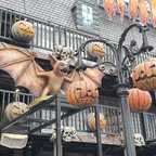 Halloween - Rasch