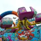 Palmenmarkt Geel 2008 (B)