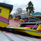 Palmenmarkt Geel 2008 (B)
