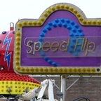 Palmenmarkt Geel 2008 (B)