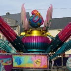 Palmenmarkt Geel 2008 (B)
