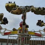 Palmenmarkt Geel 2008 (B)