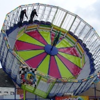 Palmenmarkt Geel 2008 (B)