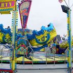 Palmenmarkt Geel 2008 (B)