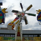 Palmenmarkt Geel 2008 (B)
