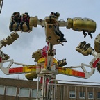 Palmenmarkt Geel 2008 (B)