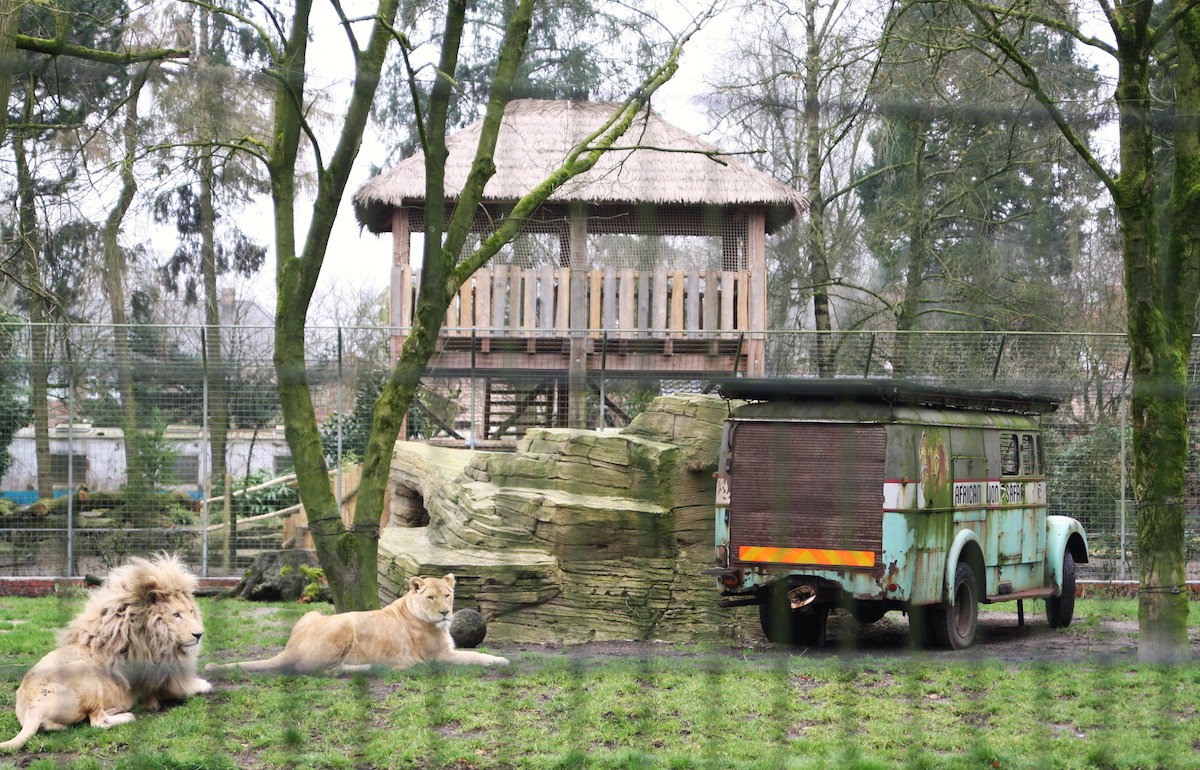 Neu im Tier und Freizeitpark Thüle