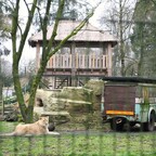 Neu im Tier und Freizeitpark Thüle